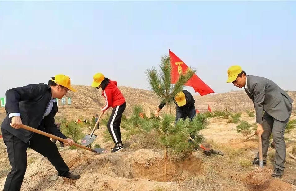 植树造林